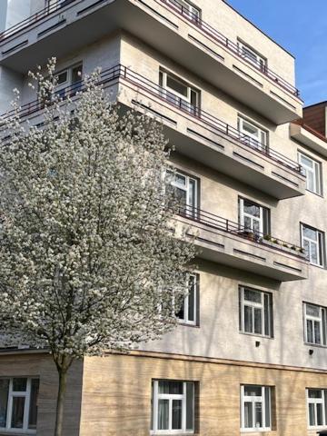 Apartmá v srdci Poděbrad Poděbrady Exterior foto